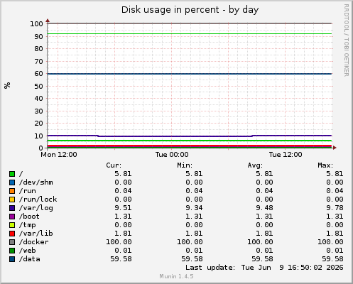 Disk usage in percent